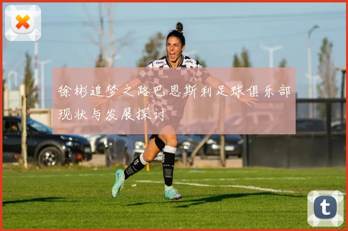 徐彬追梦之路巴恩斯利足球俱乐部现状与发展探讨